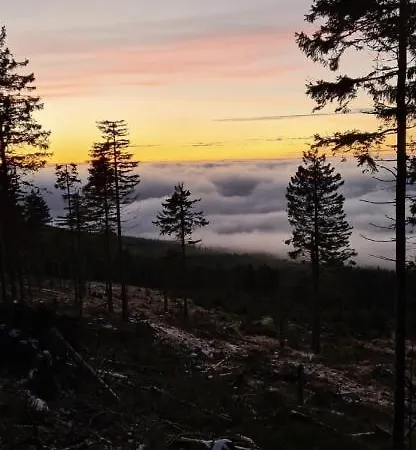 シャレー Pod Trojmorskim Wierchem ミエンジレシエ