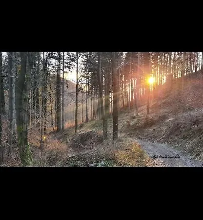 Pod Trojmorskim Wierchem シャレー *