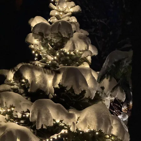 Pod Trojmorskim Wierchem ミエンジレシエ