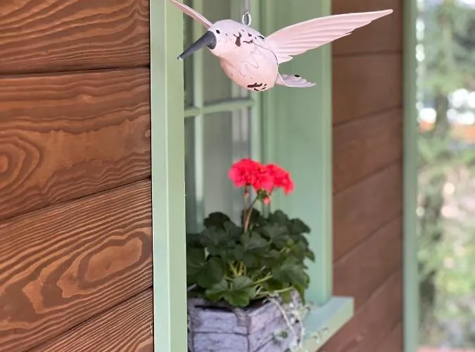 Pod Trojmorskim Wierchem *