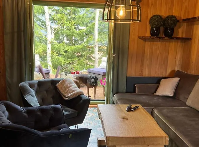 샬레 Pod Trojmorskim Wierchem 미에드지레시