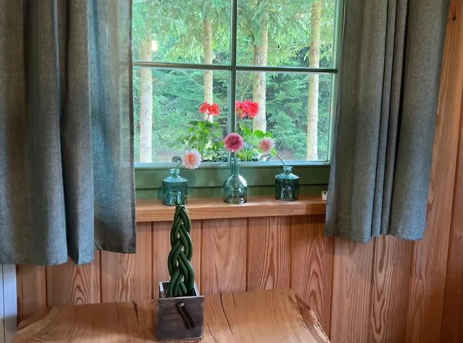 샬레 Pod Trojmorskim Wierchem 미에드지레시