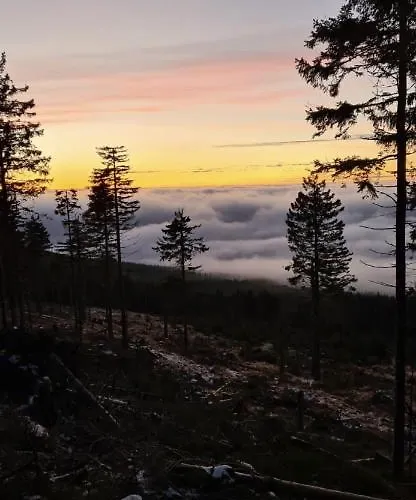 샬레 Pod Trojmorskim Wierchem 미에드지레시