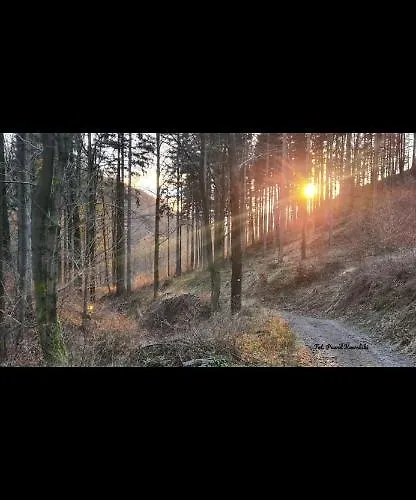 Pod Trojmorskim Wierchem 샬레 *